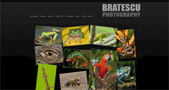 Desktop Screenshot of bratescu.com